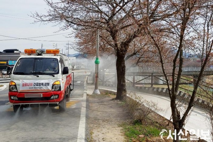 (서산)0401 아름다운 서산 해미천의 벚꽃 엔딩 1.jpg