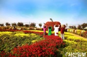 (포토뉴스)6일 서산국화축제장을 방문한 시민들이 사과 조형물 앞에서 포즈를 취하는 모습.JPG