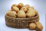 서산6쪽마늘축제·팔봉산 감자축제 전면 취소